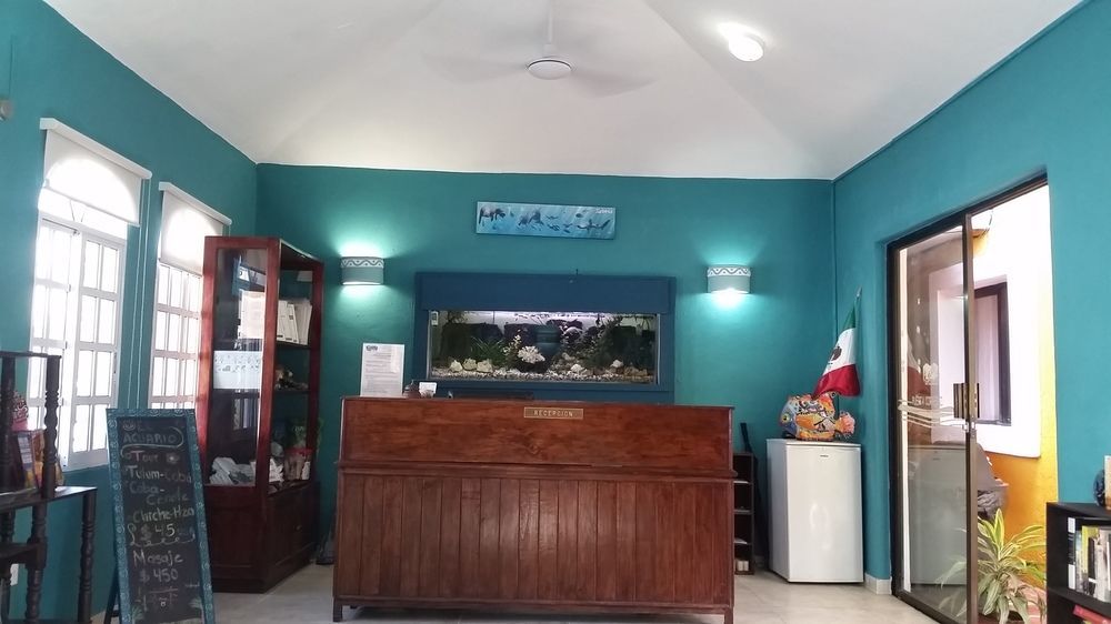 El Acuario Hotel Плая-дель-Кармен Экстерьер фото